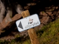 Silberpfad-Montafoner-Kristbergbahn-imago-Patrick-Saely-05
