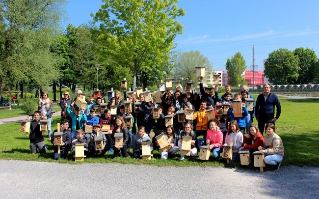 Leiblachtaler Artenvielfalt-Arbeitsgruppe 2019