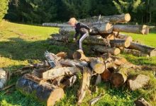 SC Hohenweiler bewegt