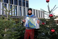 Eine Pfändertanne in Lochau kaufen (4)