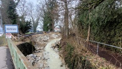 Einbau Versteckte Ufersicherung beim Hochwasserschutzprojekt Ruggbach