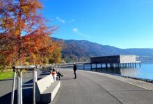 Für die Erholungslandschaft am See: Bürger übernehmen Baumpatenschaften