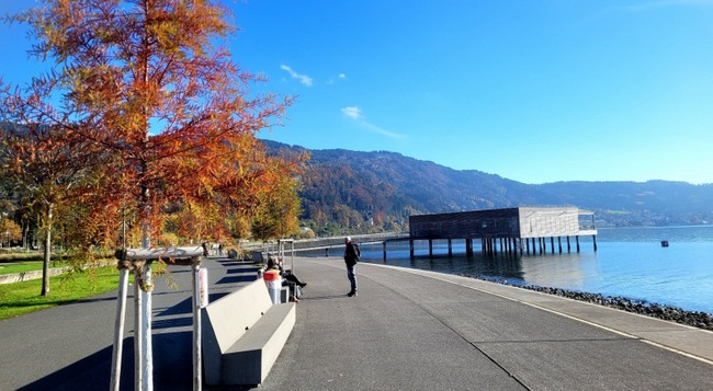 Für die Erholungslandschaft am See: Bürger übernehmen Baumpatenschaften