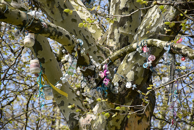 Schnullerbaum