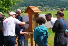 Tag des offenen Bienenstockes in Hörbranz