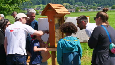 Tag des offenen Bienenstockes in Hörbranz