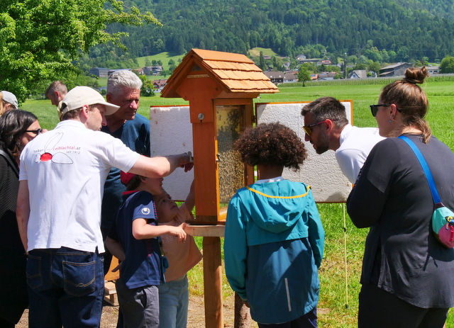 Tag des offenen Bienenstockes in Hörbranz