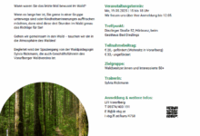 Wald entdecken