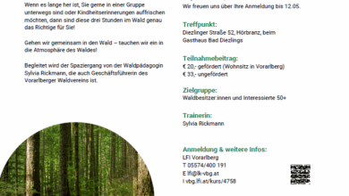Wald entdecken