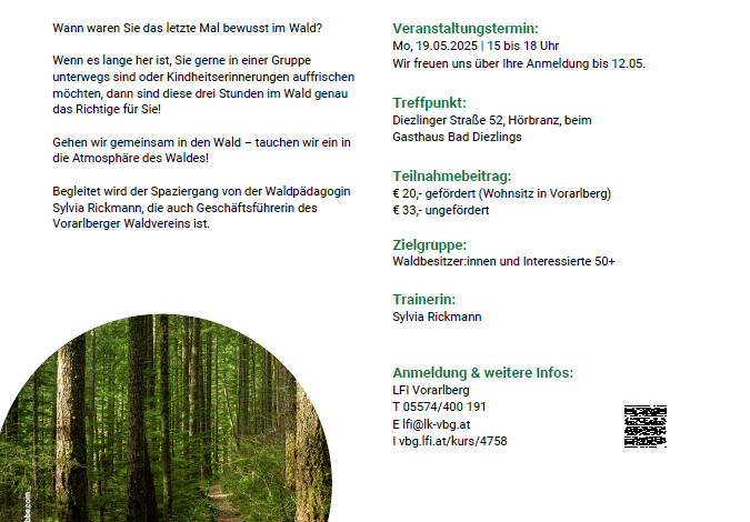 Wald entdecken