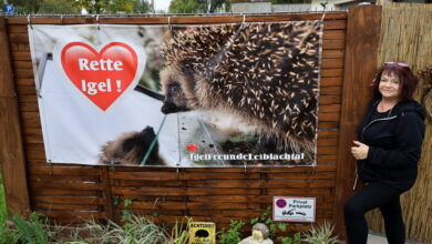 Igelfreunde 2025