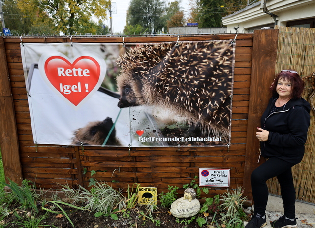 Igelfreunde 2025