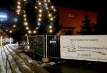 Zussner CHRISTBAUMPARADIES PfänderTanne