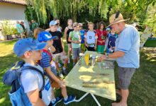 Leiblachtaler Ferienprogramm: Erlebnisnachmittag für Kids im Lochauer Pfänderwald