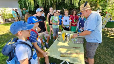 Leiblachtaler Ferienprogramm: Erlebnisnachmittag für Kids im Lochauer Pfänderwald
