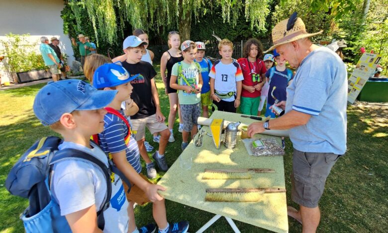 Leiblachtaler Ferienprogramm: Erlebnisnachmittag für Kids im Lochauer Pfänderwald