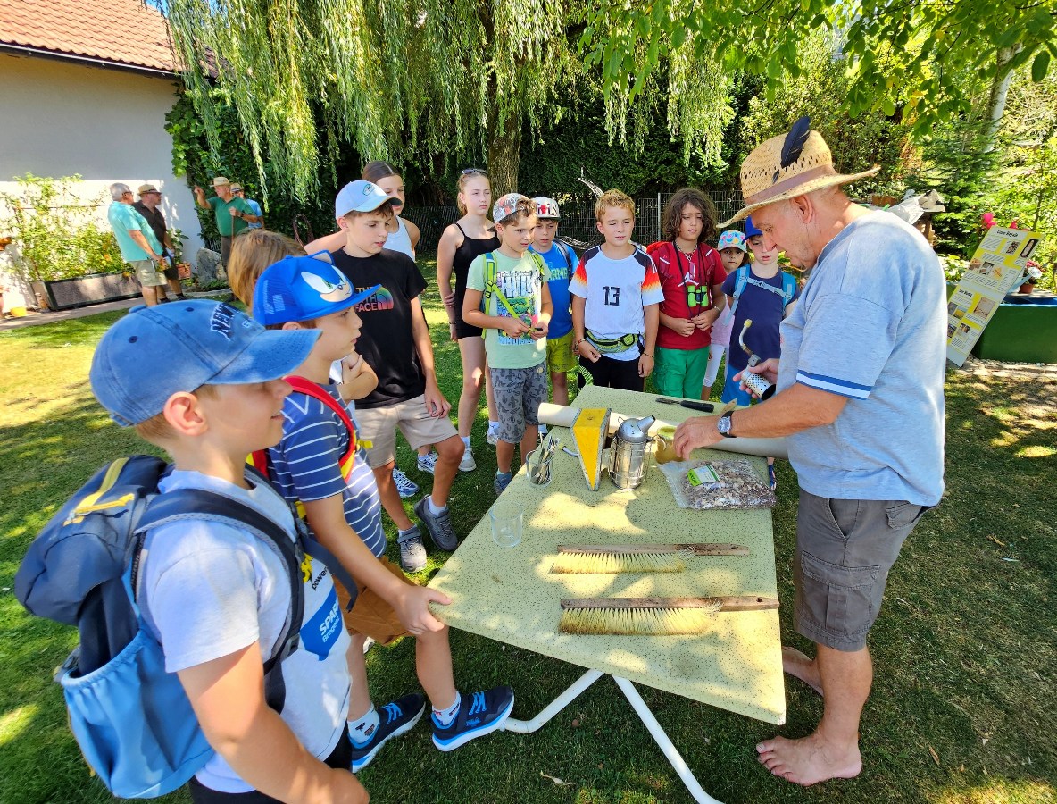 Leiblachtaler Ferienprogramm: Erlebnisnachmittag für Kids im Lochauer Pfänderwald