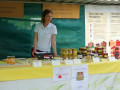 Bienen-1