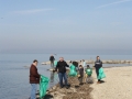 Lochau Landschaftsreinigung 2016 (4)