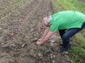 Exkursionsteilnehmer legen Hand an