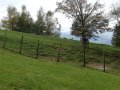 Alpwildpark-am-Pfaender