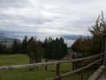 Alpwildpark-am-Pfaender11