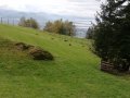 Alpwildpark-am-Pfaender2