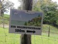 Alpwildpark-am-Pfaender8