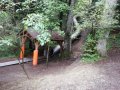 Alpwildpark-am-Pfaender9