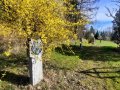 Fruehling-Symbolfoto-April-2023-1