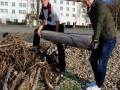 Aufräum-Aktion-am-Lochauer-Kaiserstrand-2019-3