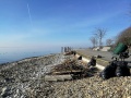 Aufräum-Aktion-am-Lochauer-Kaiserstrand-2019-8
