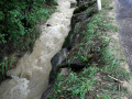Dorfbach_Schwendeweg_2