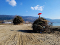 OHNE-BU-Lochau-Funken-BAeUMLE-am-See-SYMBOLFOTO-Terminankuendigung-Februar-2024-9