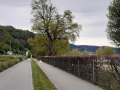BaumpflegeExperten-garantieren-Verkehrssicherheit-2