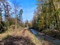 Leiblachtal-BU-1-Ruggbach-AUSBAU-HOCHWASSERSCHUTZ-B-Start-BA-1-am-08-11-2023-5