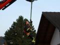 Buergermeisterbaum-in-Hoerbranz-2020-53