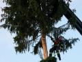 Buergermeisterbaum-in-Hoerbranz-2020-55