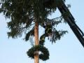 Buergermeisterbaum-in-Hoerbranz-2020-56