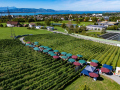 Lochau Weinfest Drohne,