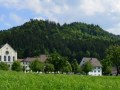 Kloster-Gwiggen-Fruehling