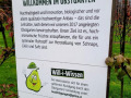Prinz-OBSTHOF-Fuehrung-mit-Kindergarten-Dorf-10-2024-7