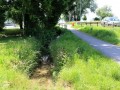Lochau-B-Oberlochauerbach-ANSICHTEN-VERLAUF-08-06-2020-5