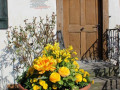 Fruehling-BEPFLANZUNG-NEU-Symbolfoto-1