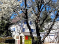 Fruehling-BEPFLANZUNG-NEU-Symbolfoto-4