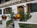 Fruehling-Bepflanzung-NEU-Symbolfoto-2