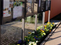 Fruehling-Bepflanzung-mit-SINZ-Michael-START-Maerz-2022-6