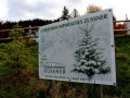 Lochau-Zussner-CHRISTBAUMVERKAUF-Advent-Dezember-2022-5-SCHILD