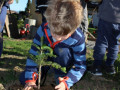 Lochau-Zussner-CHRISTBAUMVERKAUF-Advent-Dezember-2022-8-KINDER