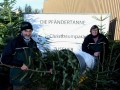 Eine-Pfaendertanne-in-Lochau-kaufen-1